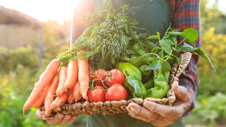 Person holding a basket of fresh vegetables