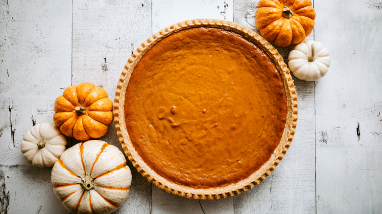 Pumpkin pie with small pumpkins