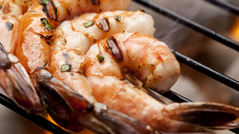 grilled shrimp closeup