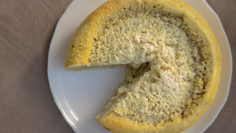 Casu Marzu on a plate