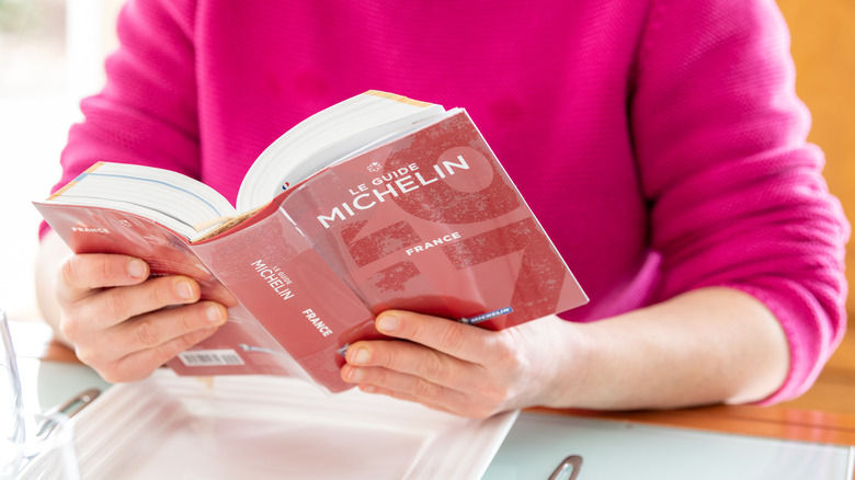 Person reading a Michelin guidebook