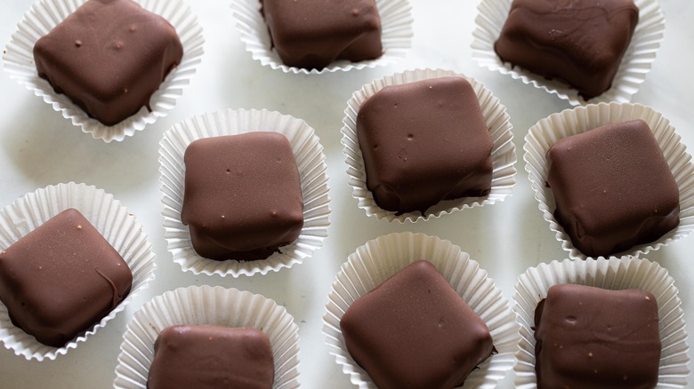 chocolate cheesecake bites