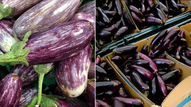 Left: graffiti eggplants Right: Japanese eggplant