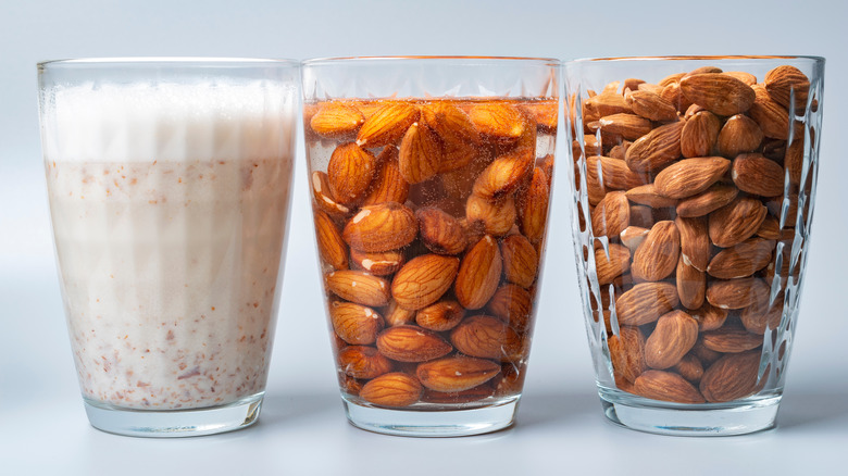 Stages of almond milk production
