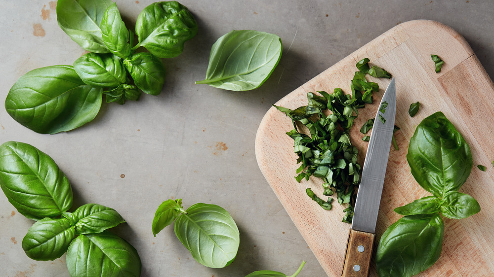 chopping basil
