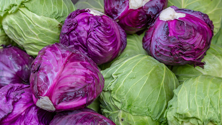 red and green cabbages