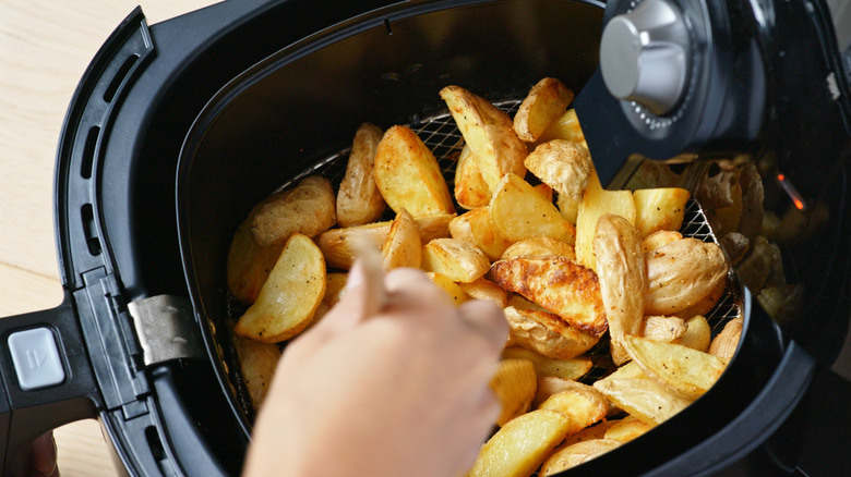 Homemade air fried potato fries