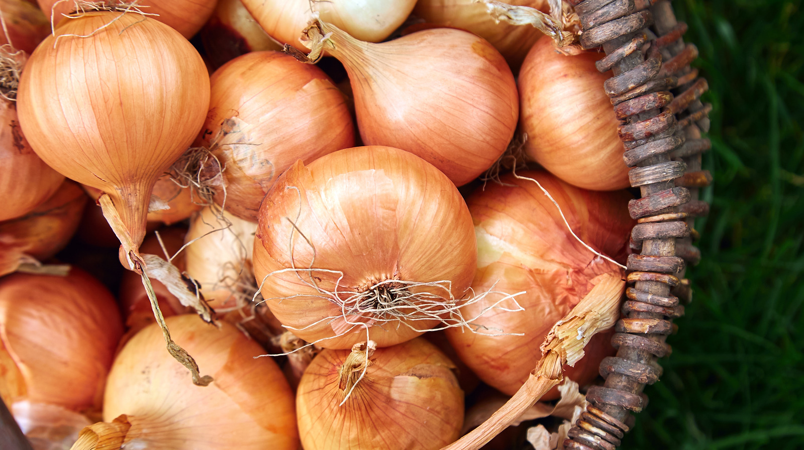 Mistakes Everyone Makes When Cooking Onions