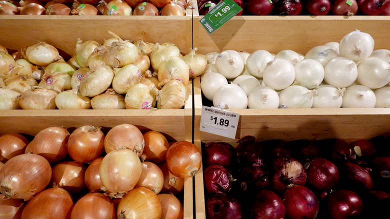 different types of onions