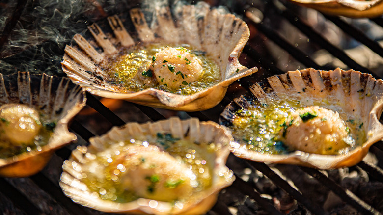 scallops on grill
