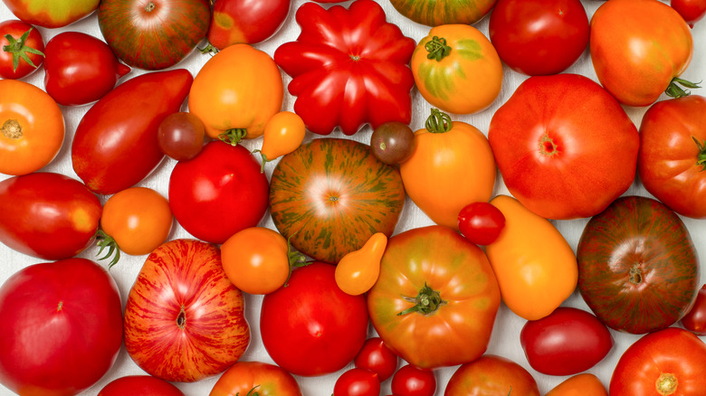 mixed tomatoes