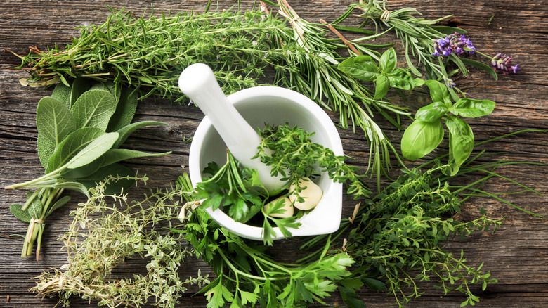 Fresh herbs around a pestle and mortar