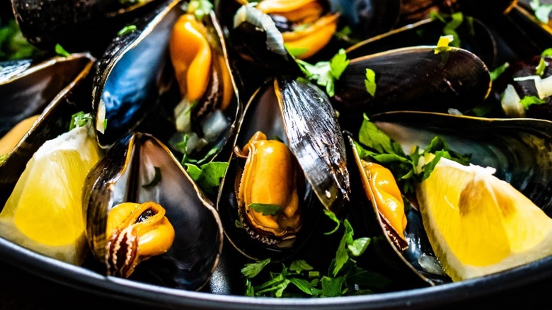 cooked mussels