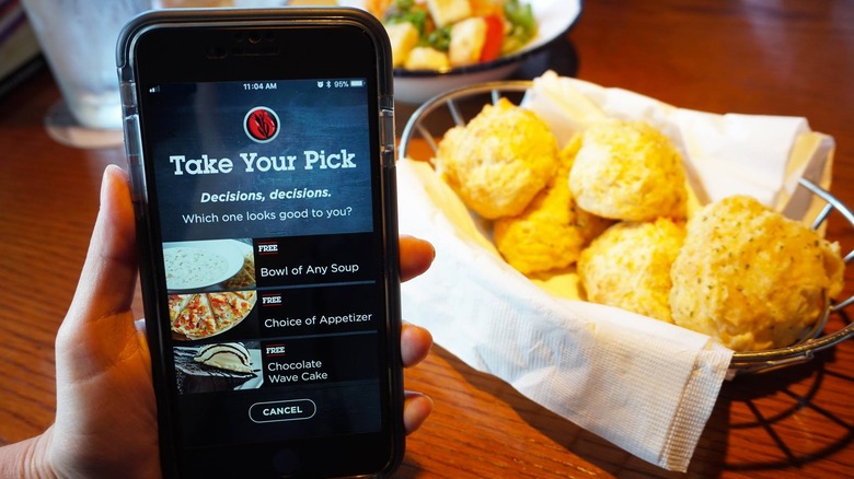 Red Lobster rewards and biscuits