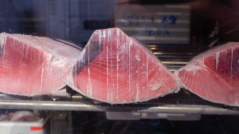 sushi-grade tuna loins
