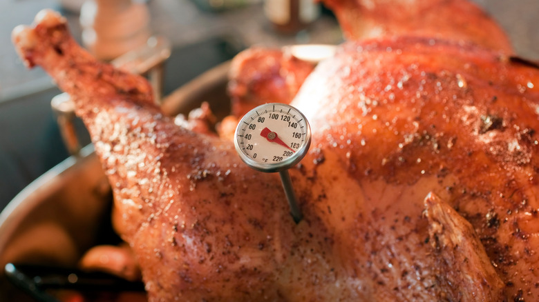 Oven Safe Leave In Meat Thermometer Instant Read, 2 In 1 Dual