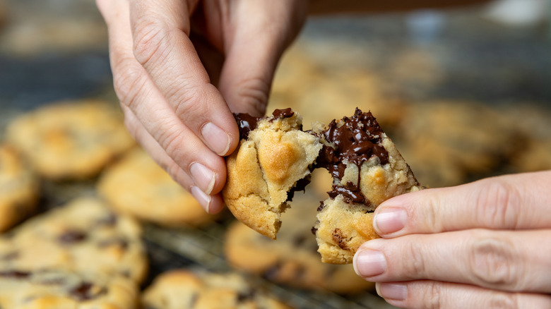 Hands pulling apart a freshly baked chocolate chip cookie