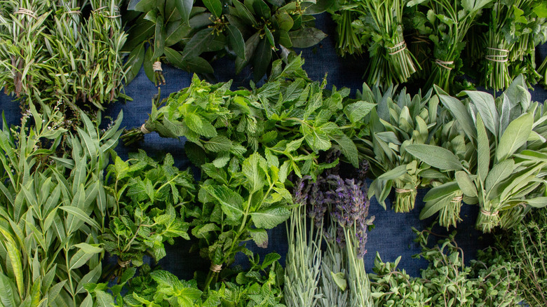 Bundles of fresh herbs