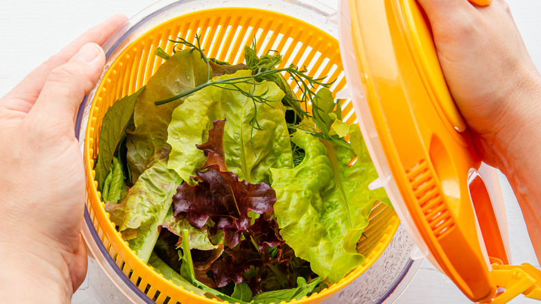 Salad spinner