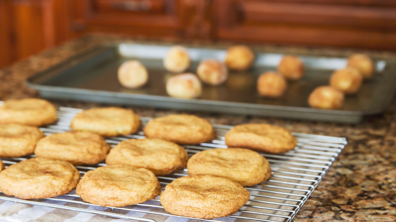 Unbaked snickerdoodles on tray