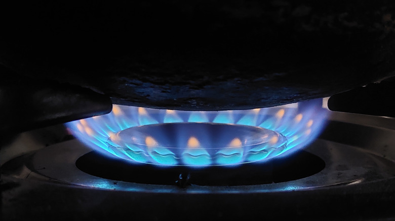 Blue flames of a gas stove
