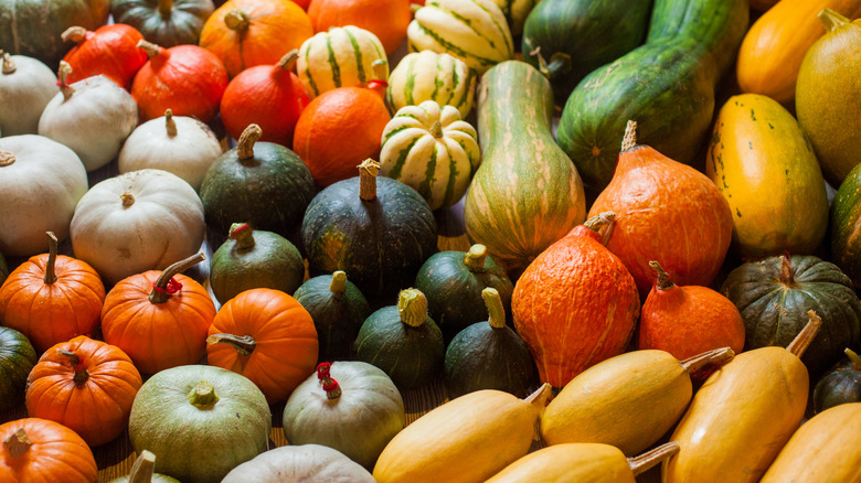 Several varieties of winter squash