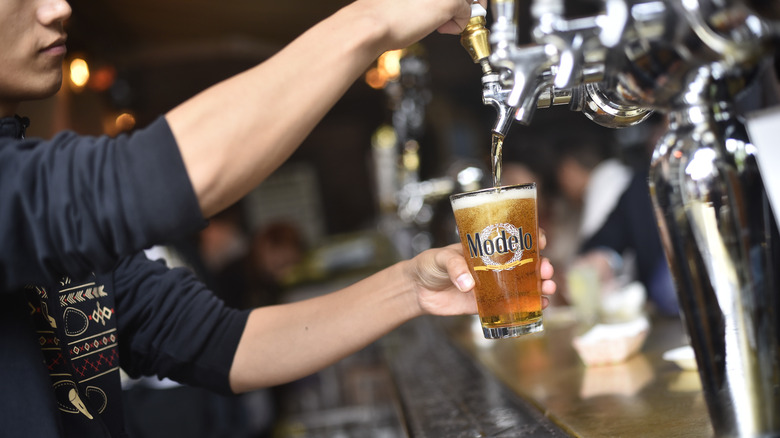 Person pouring a Modelo beer