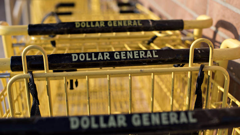Shopping carts at a Dollar store