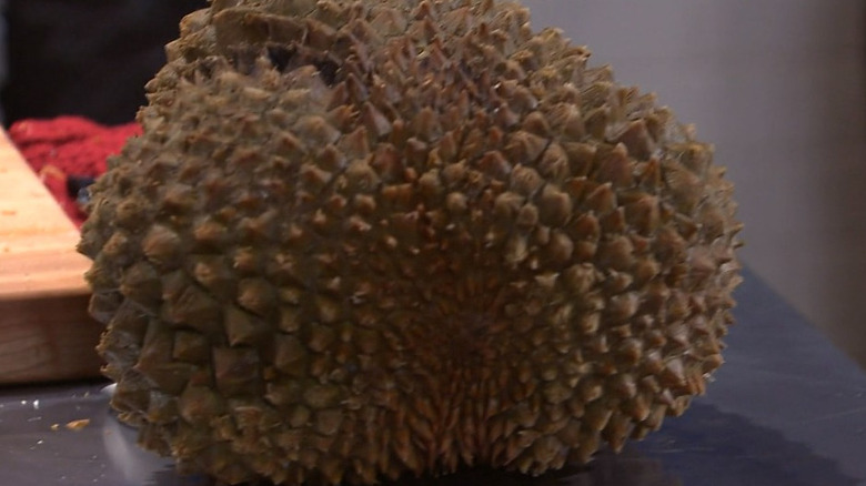 Durian fruit resting on counter