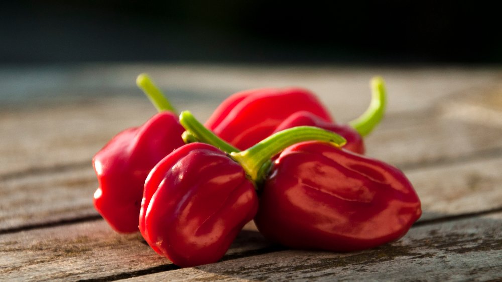 habanero peppers 
