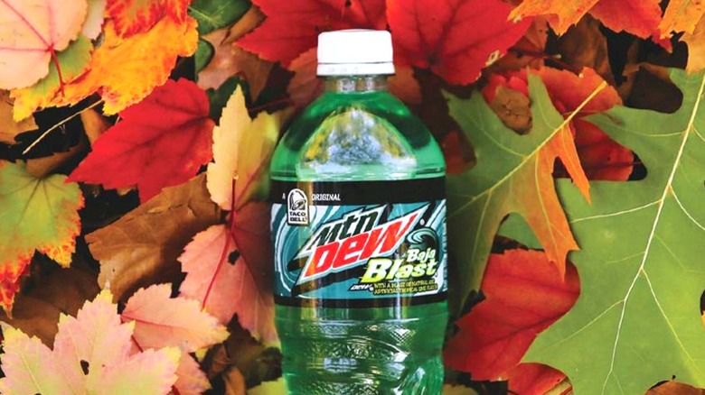 A bottle of Mountain Dew Baja Blast in fall leaves 