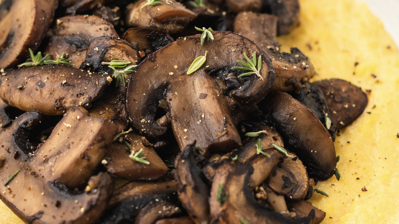 closeup of mushroom polenta