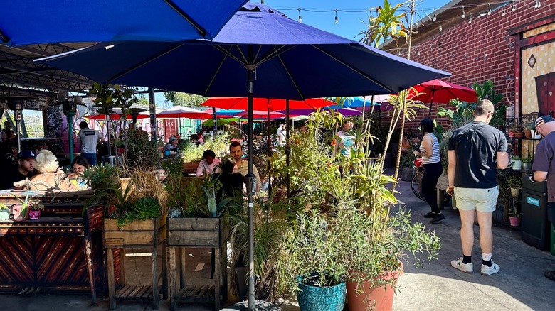 Outdoor patio at Spoke Bicycle Cafe.