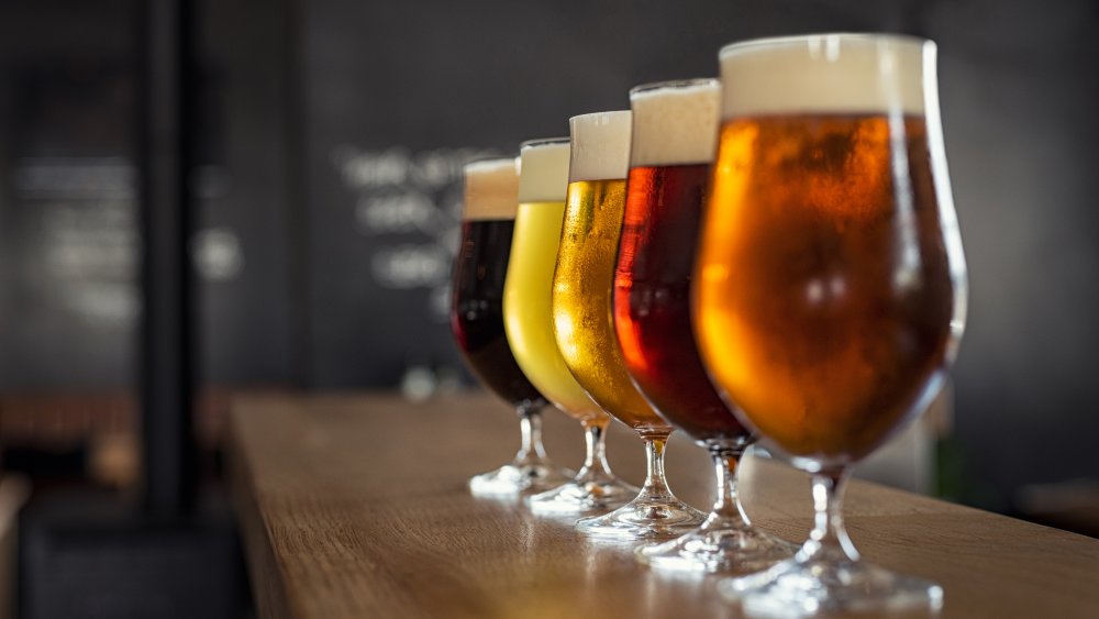 glasses of different style beers