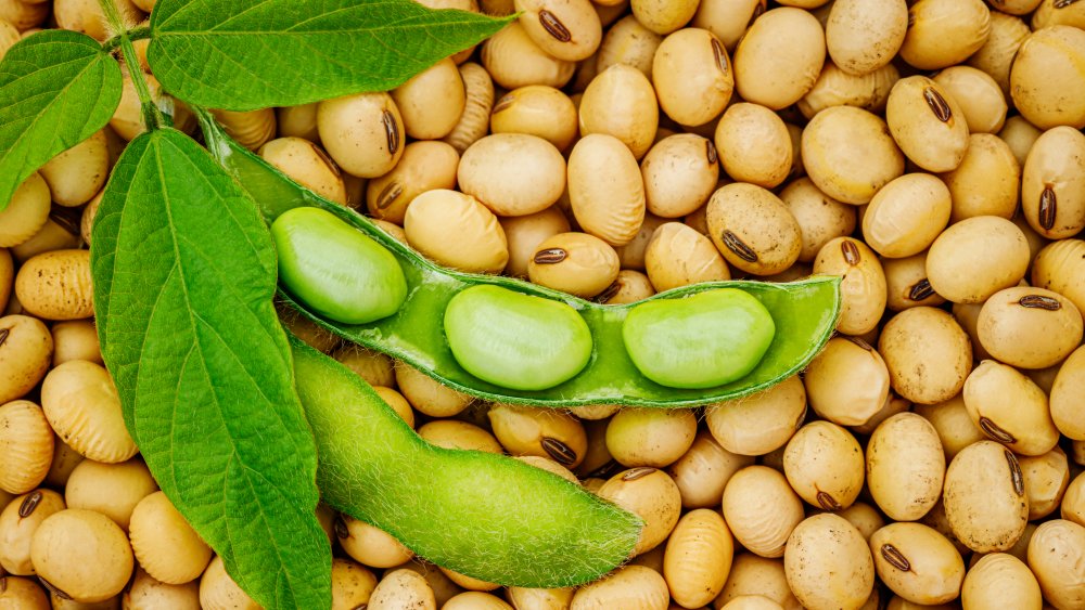 soybeans