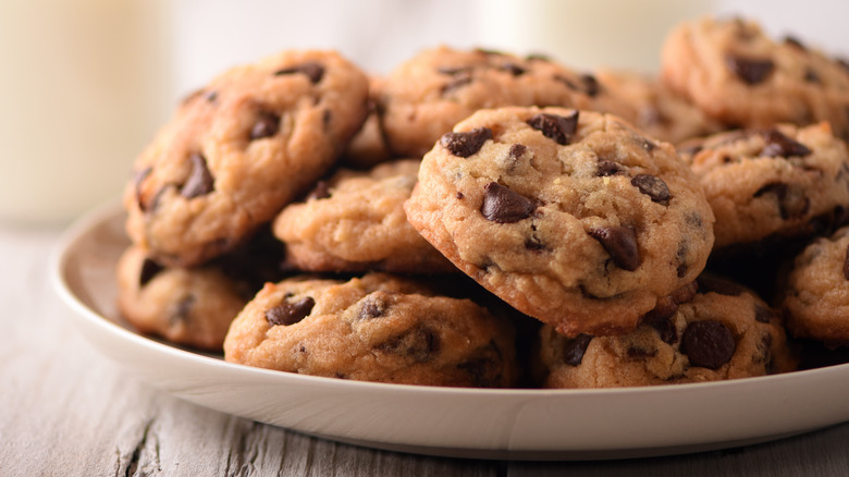 A plate of fresh chocolate chip cookies