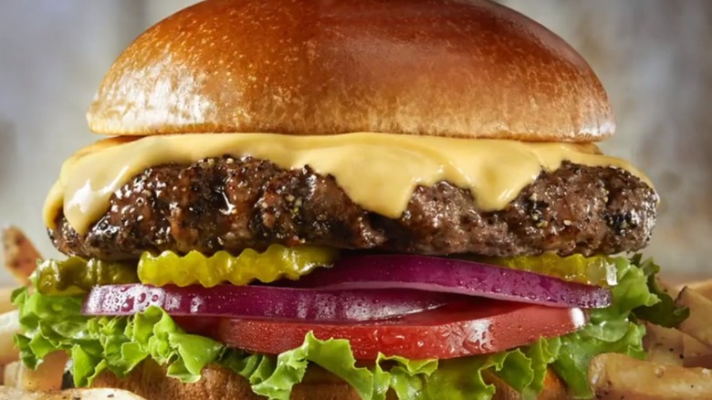 a classic cheeseburger