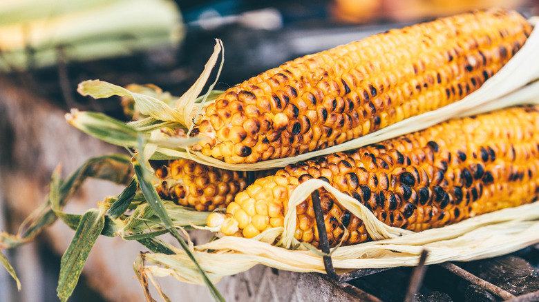 Grilled corn on the cob