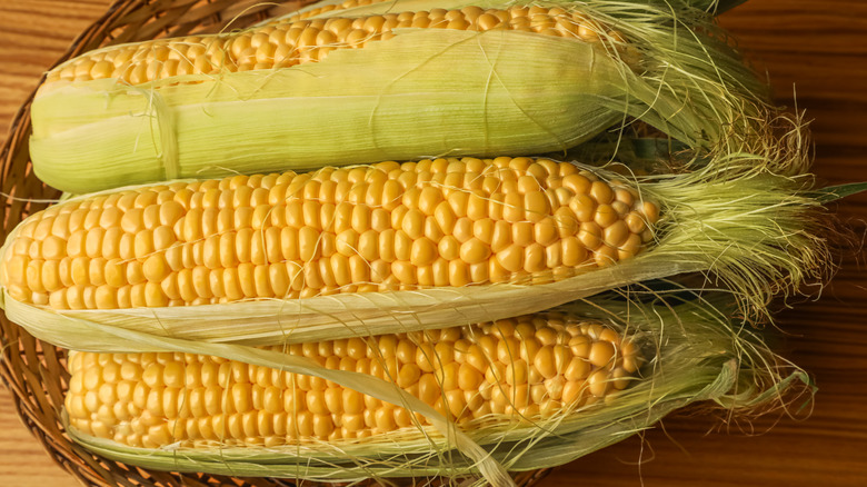 Corn on the cob
