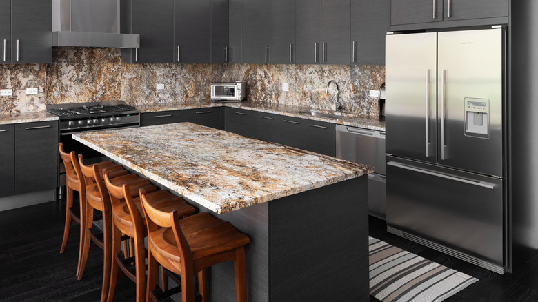 Modern kitchen with Fisher & Paykel refrigerator