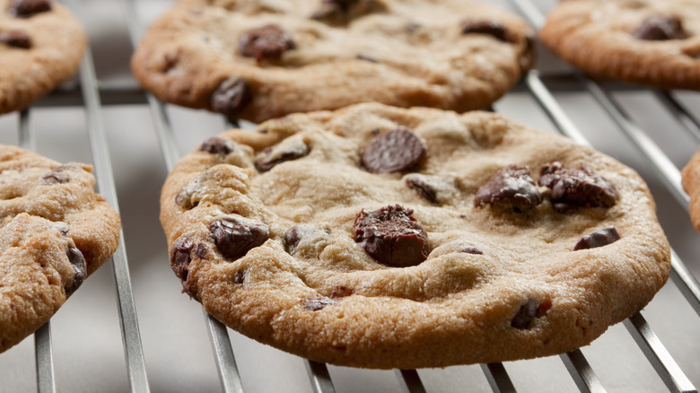 freshly baked chocolate chip cookies