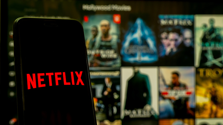 Netflix streaming service