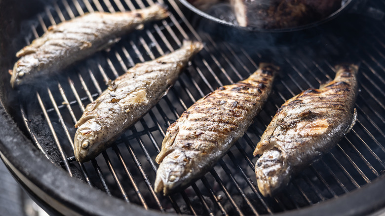 A row of trout fish being cooked on the grill