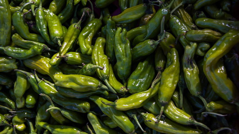 New Mexico green chiles 