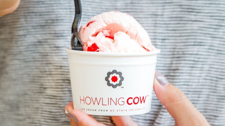 A cup of Howling Cow Ice Cream