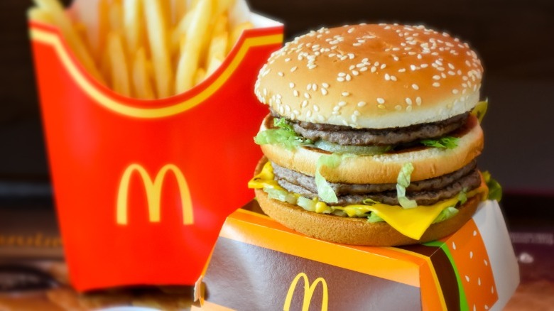 McDonald's Big Mac on top of its container and fries behind it