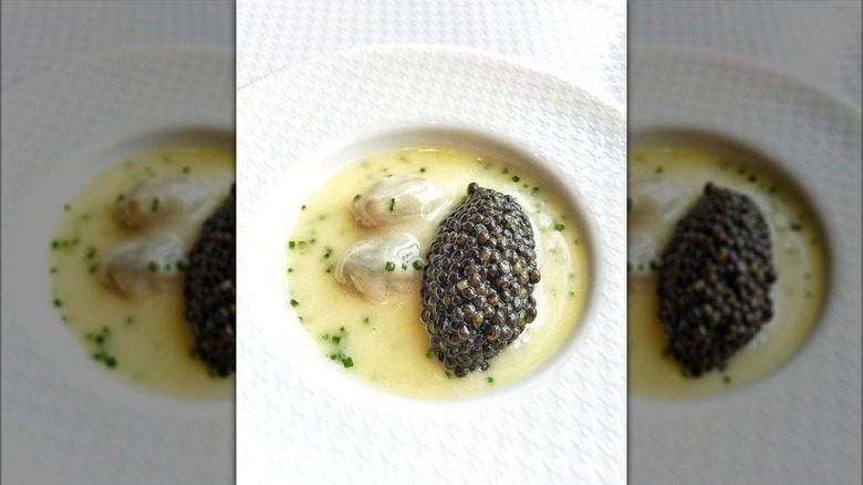 Oysters and caviar dish from Per Se plated on a white textured plate