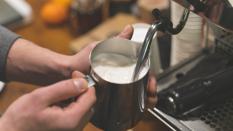 Barista frothing milk 