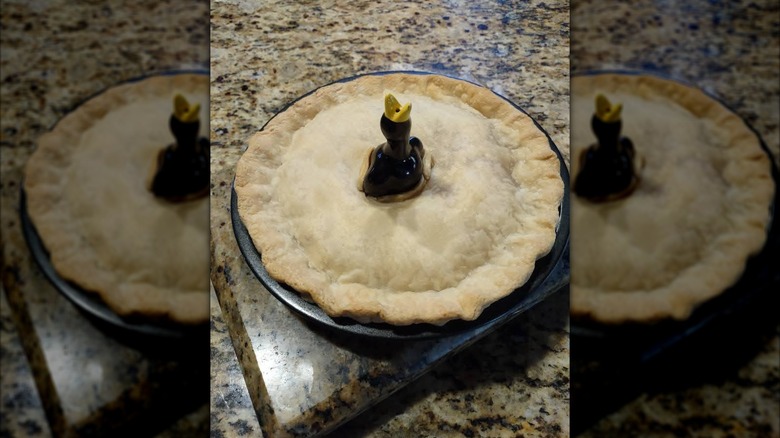 Pie bird inside a baked pie