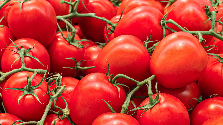 Several clusters of ripe tomatoes on the vine
